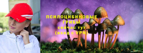 spice Белоозёрский