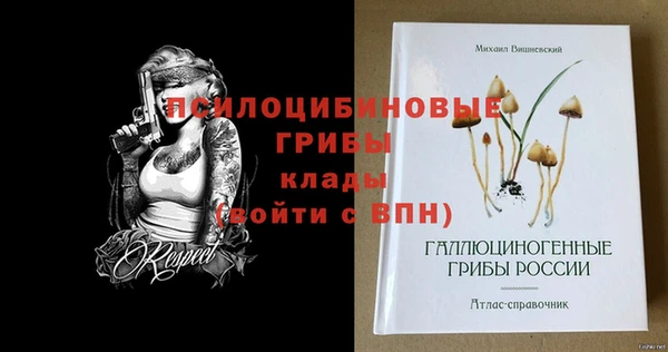 spice Белоозёрский