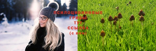 таблы Белокуриха