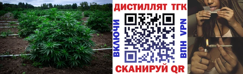 дарнет шоп  Кингисепп  ТГК жижа 